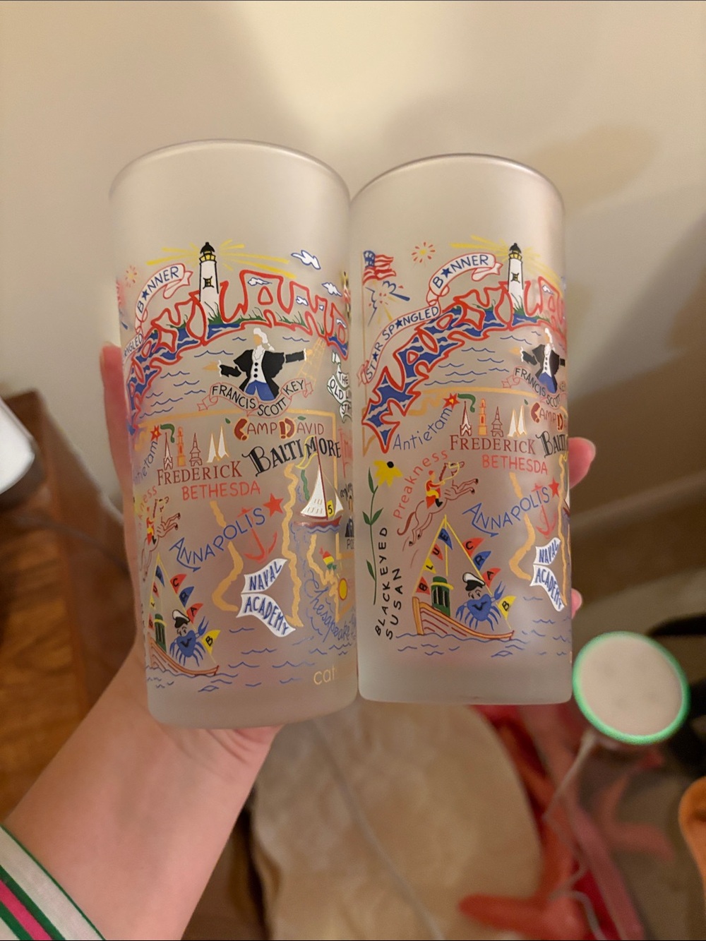 Catstudio Set of 2 Maryland Themed Drinking Glasses - Colorful Nautical Design